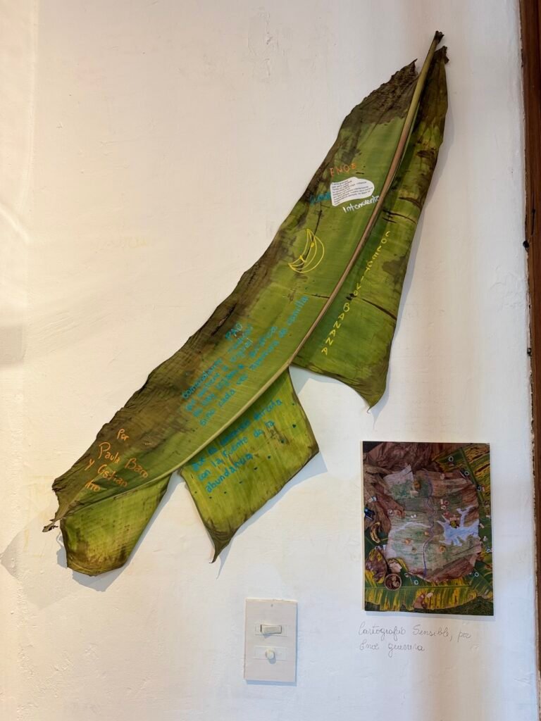 Curaduría Sendero Artístico Intercultural Tajy Poty
